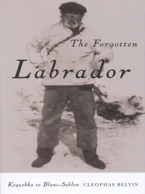 cover image of Forgotten Labrador